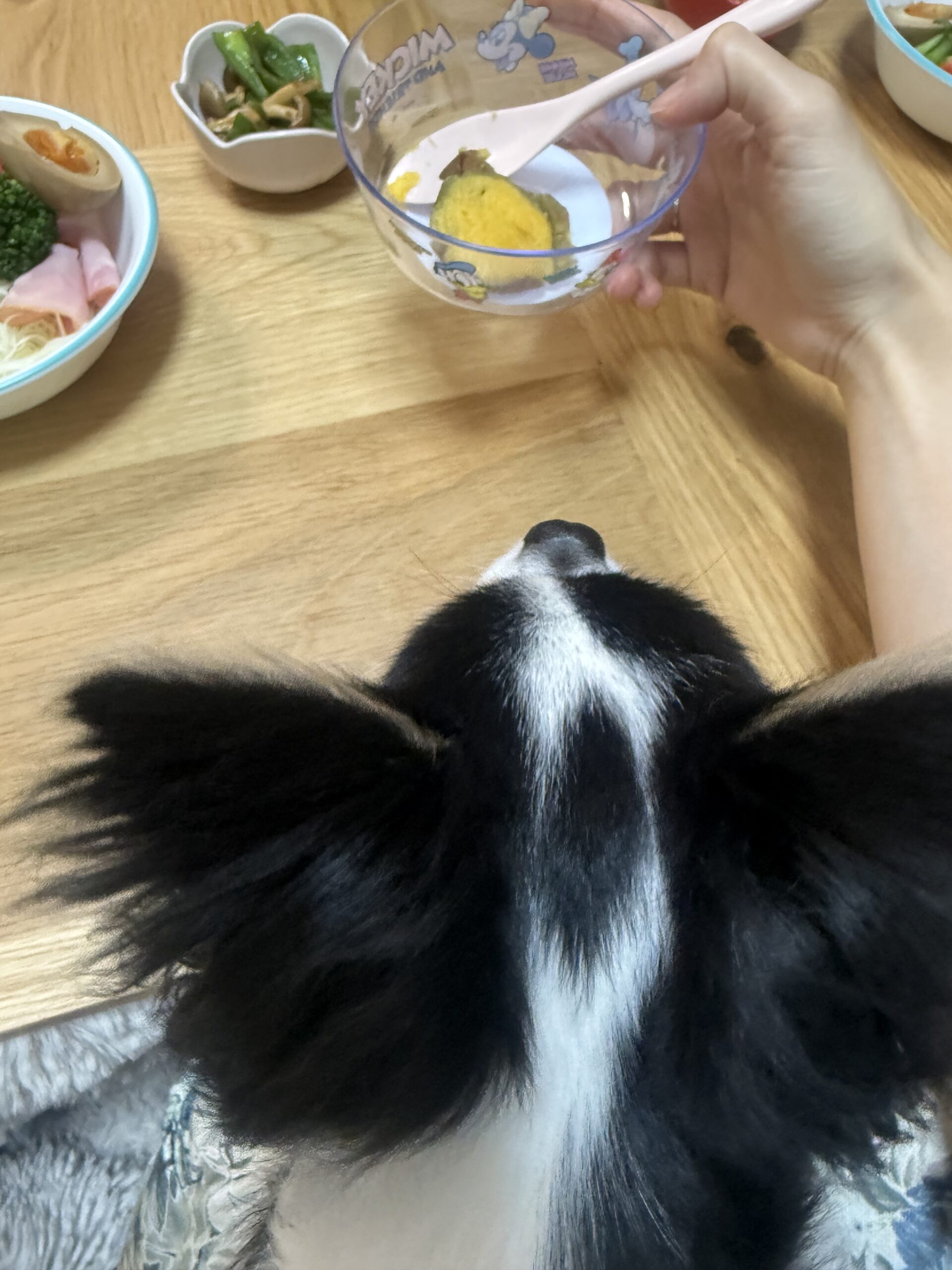 まめやん