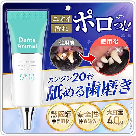 チワワ 歯磨き
