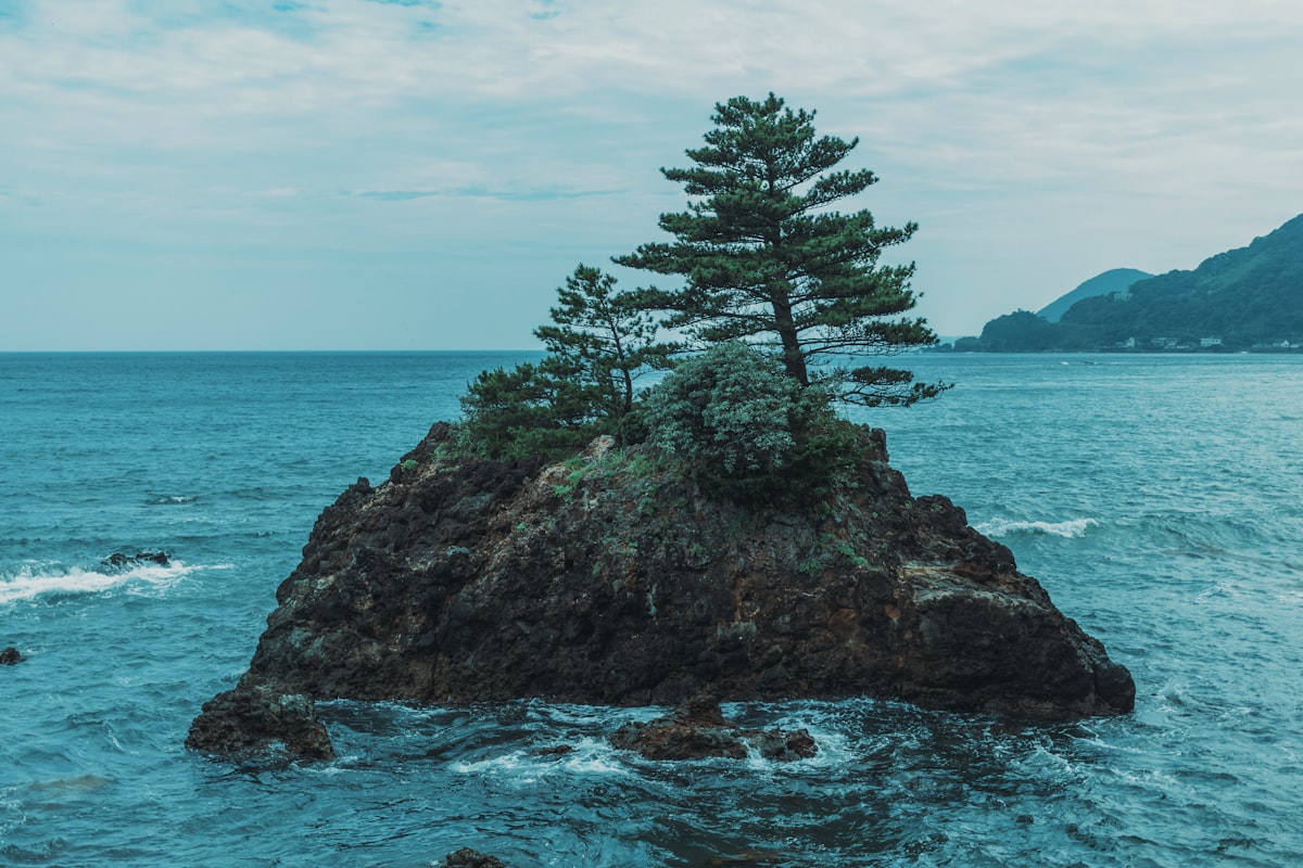 青い海に浮かぶ緑の島